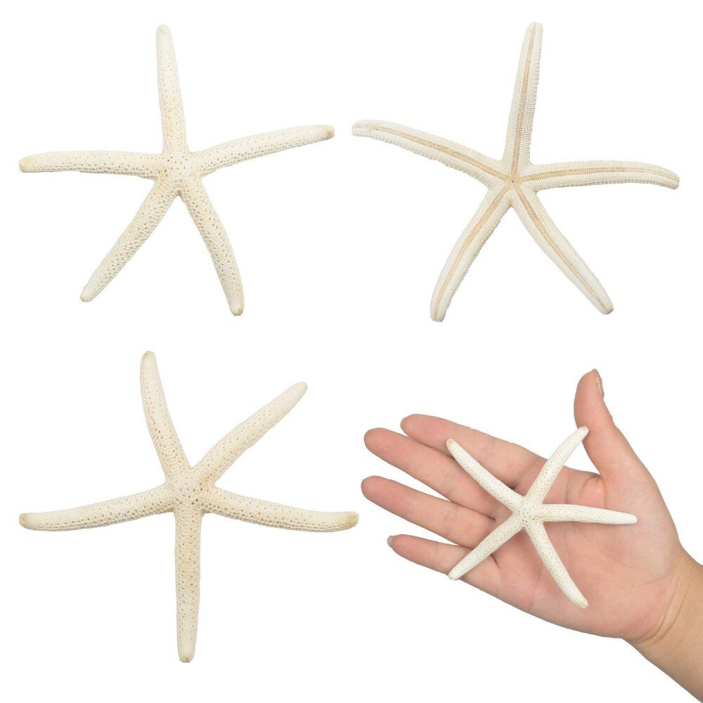 10PCS Starfishes Ocean Beach Starfish for Wedding Decor Beach Theme Party, Home Decorations,DIY Crafts, Fish Tank: 2