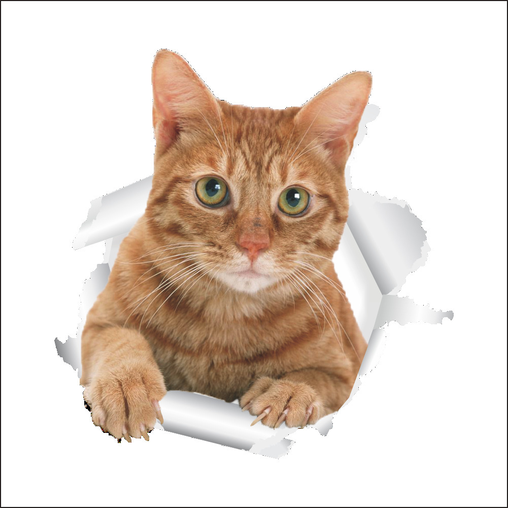 Katte 3d væg klistermærker toilet klistermærker hul visning levende hunde badeværelse til boligindretning dyr vinyl klistermærker kunst klistermærke plakat: H