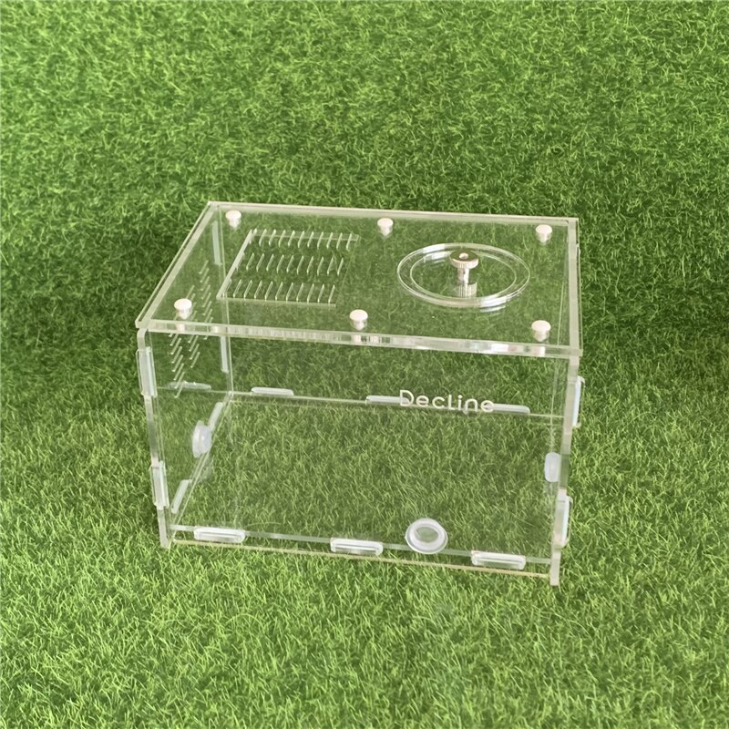 1PCS 15*10*10cm Acrylic Ant Activity Area with Wat... – Vicedeal