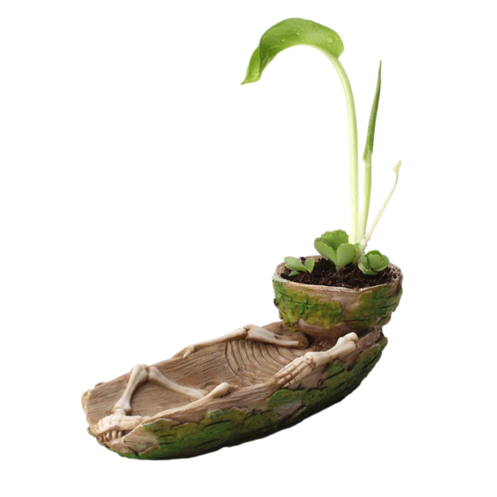 Small Bone-shaped Flower Pot Skeleton Flower Pot Resin Succulent Planter Desktop Decoration Garden Lightweight Green Flowerpot