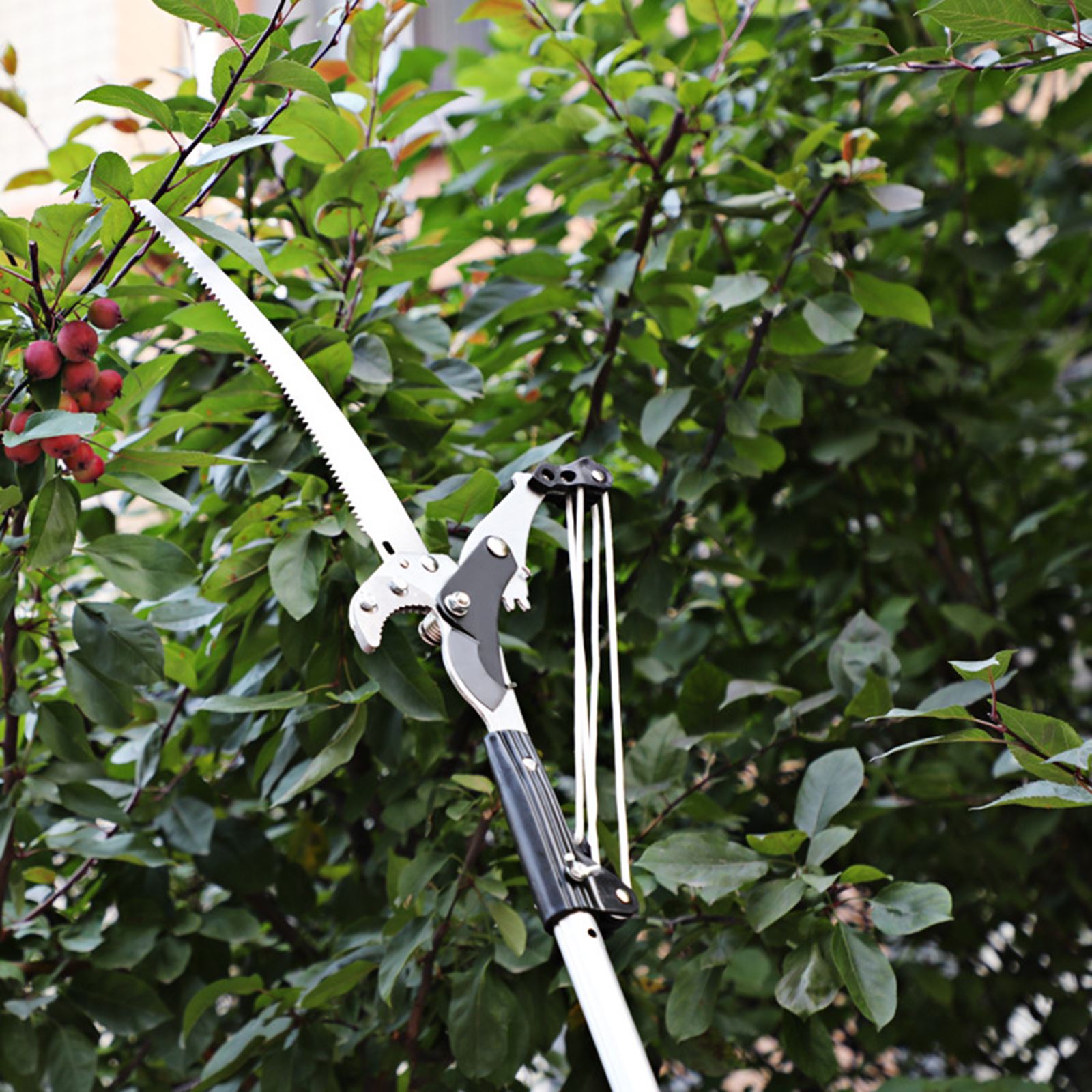 High-Altitude Tree Branches Trimmer Extendable Tree Pruning Saw Fruit Tree Pruner Shears Without Pole for Cutting High Branches
