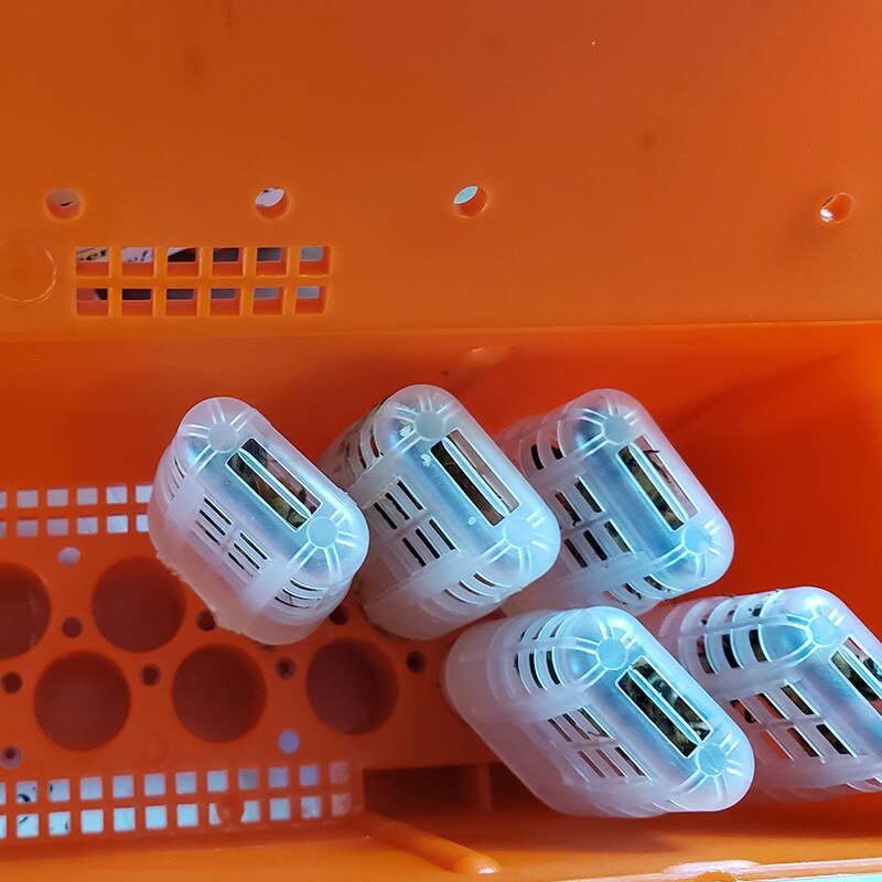 Beekeeping Supplies Queen Bees Transport Box with 20Pcs Bee Queen Cell Cage Bee Moving Isolator Tool Beekeeper Rearing Equipment