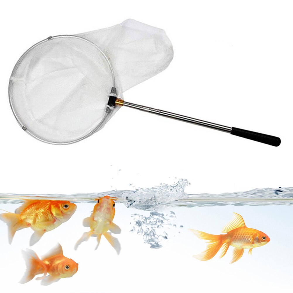 Opvouwbare Visnet Rvs Telescopische Insect Vlinder Dragonfly Netten Kikkervisje Vis Netwerk Outdoor Fun Speelgoed