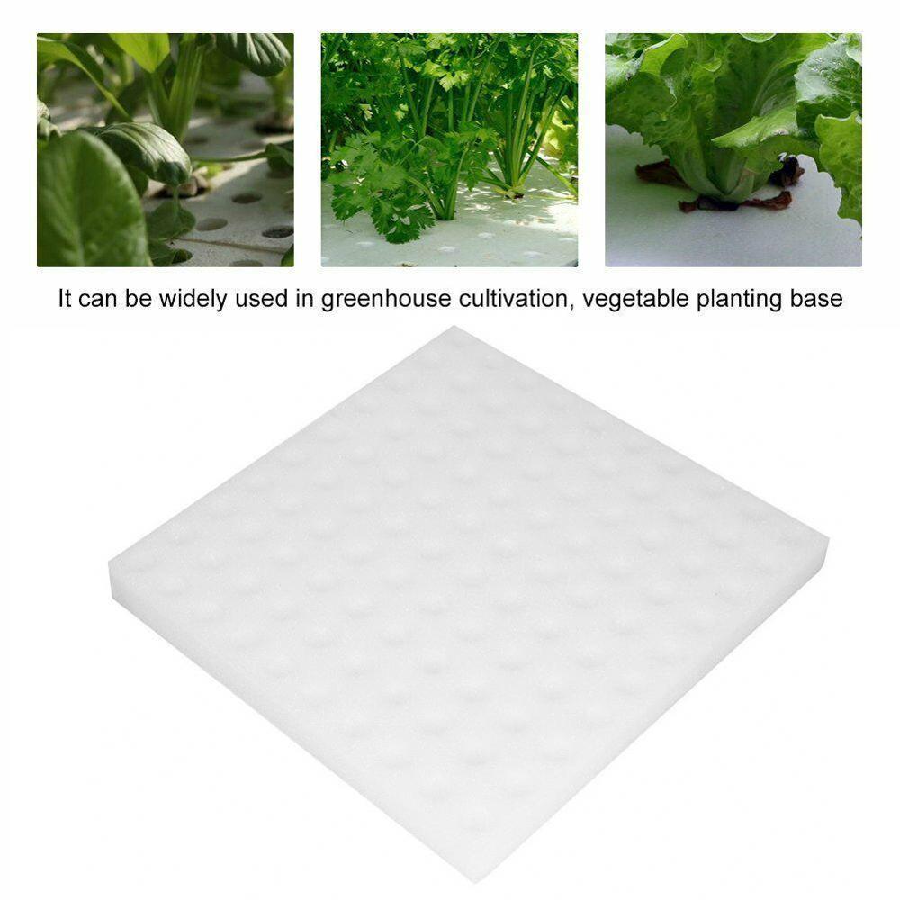 Esponja hidropónica para plantar, herramienta de jardinería, esponjas de plántulas para invernadero, sistema vegetal sin suelo, 1 pieza