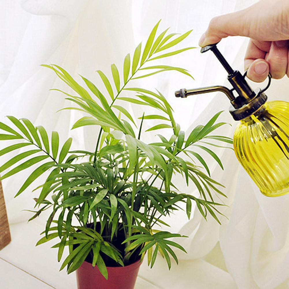 Botella de riego de jardinería, regadera de vidrio Retro, hervidor de agua, herramientas de jardinería, regadera de ducha de vidrio