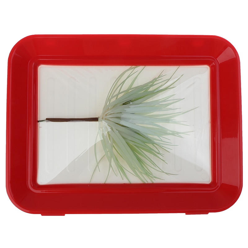 1PC Food Preservation Tray Plastic Food Storage Container Set Food Fresh Storage Microwave Cover