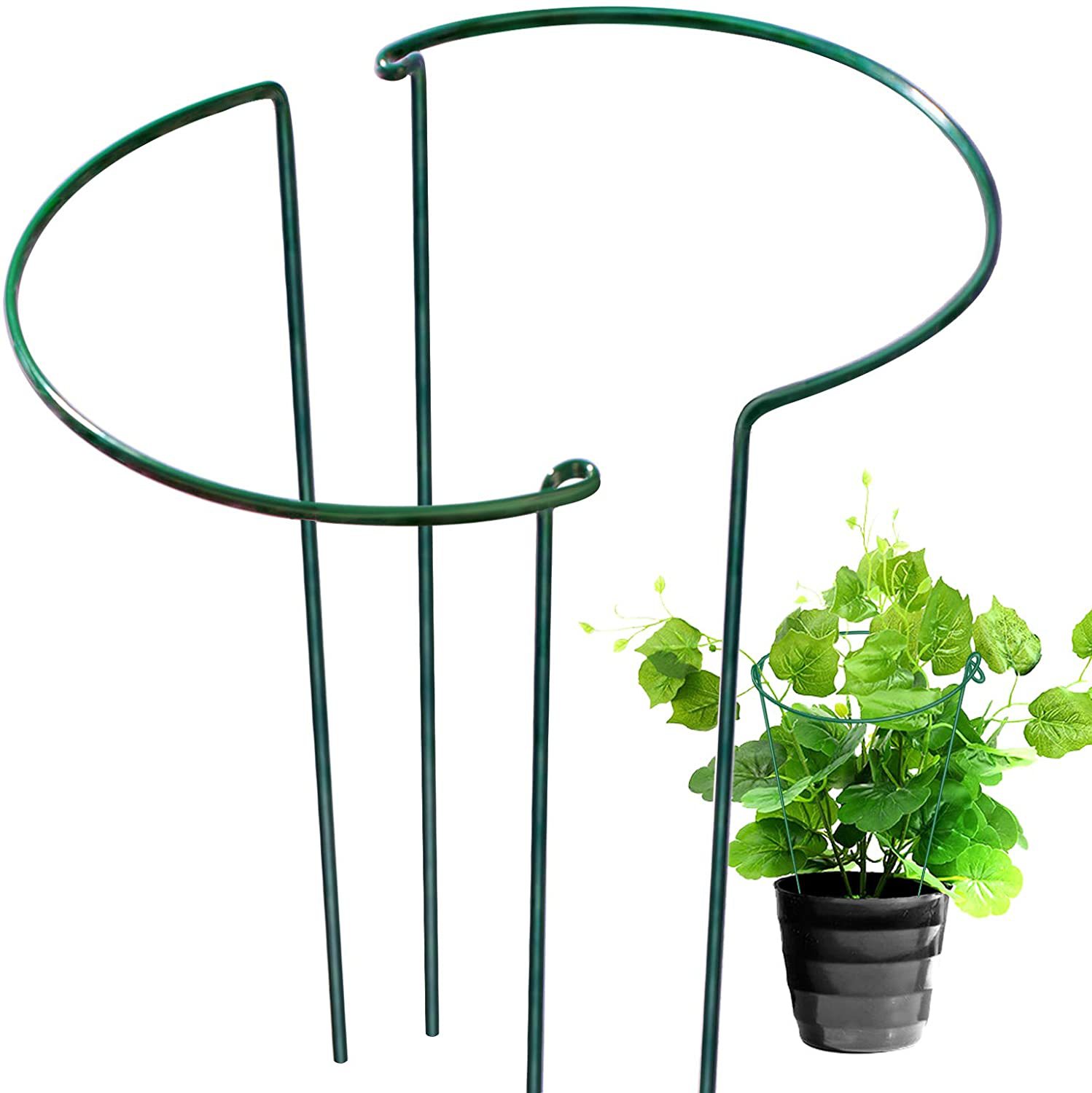 Estacas de soporte para plantas de 6 uds, estacas de Metal semicirculares para plantas de jardín, jaulas y soportes de peonías para interiores, anillo de soporte para plantas verdes