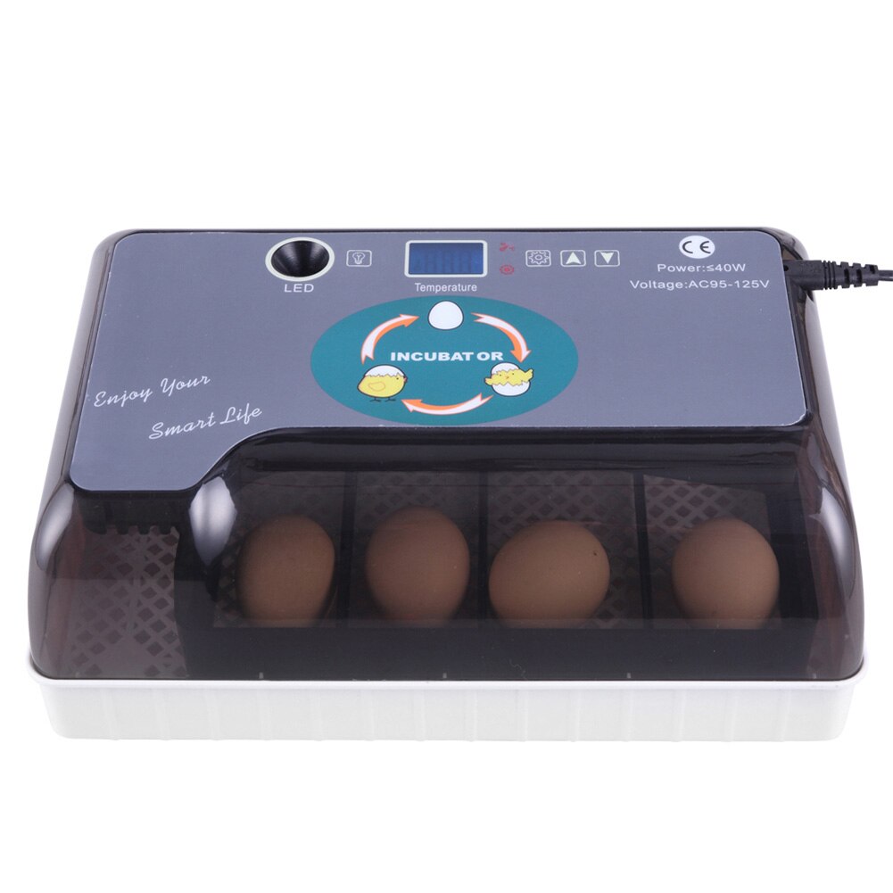 US/AU/ue/BG Plug 12 oeufs automatique ferme couvoir incubateur volaille poulet couveuse Machine nouvelle incubateur couveuse Machine