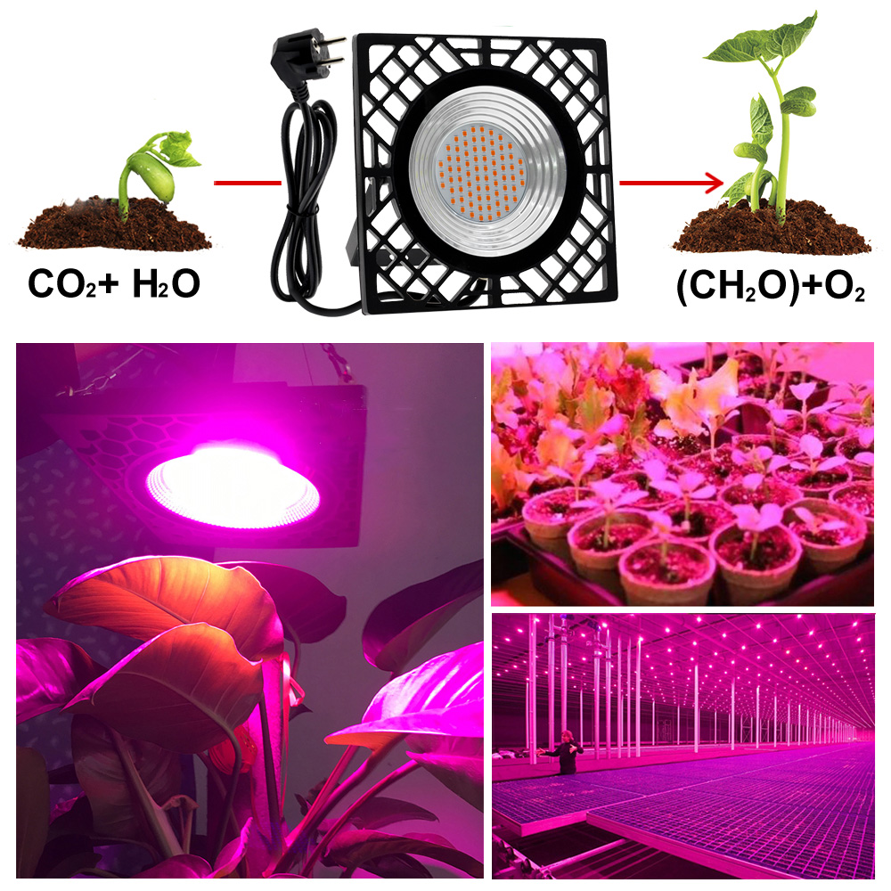 220v led vækstlys fuldt spektrum indendørs voksende lampe 500w højlyseffektive phyto lamper til planter dyrke telt drivhus