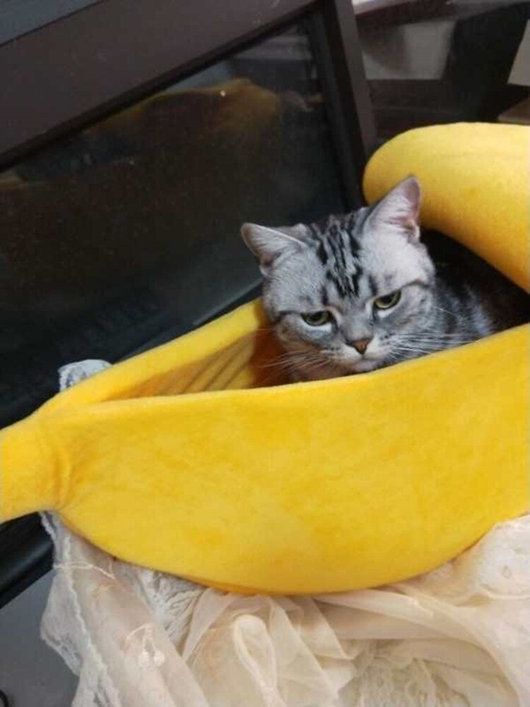 Banan kat seng hus sød banan hvalp pude kennel varm blød kæledyr bet kat forsyninger måtte senge til katte killinger