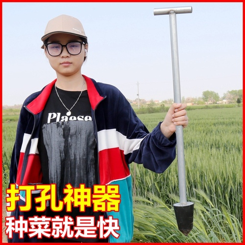 Planten Aardbei Artefact Ponsen Planten Ridge Verhogen Machine Landbouwwerktuigen Planten Groente Pit Puncher: Bruin