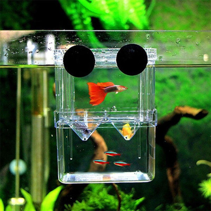 Caja de cría de peces para acuario, tanque de peces para mascotas, Guppy, cría doble, criadero, divisiones, pecera, casa para reptiles y tortugas