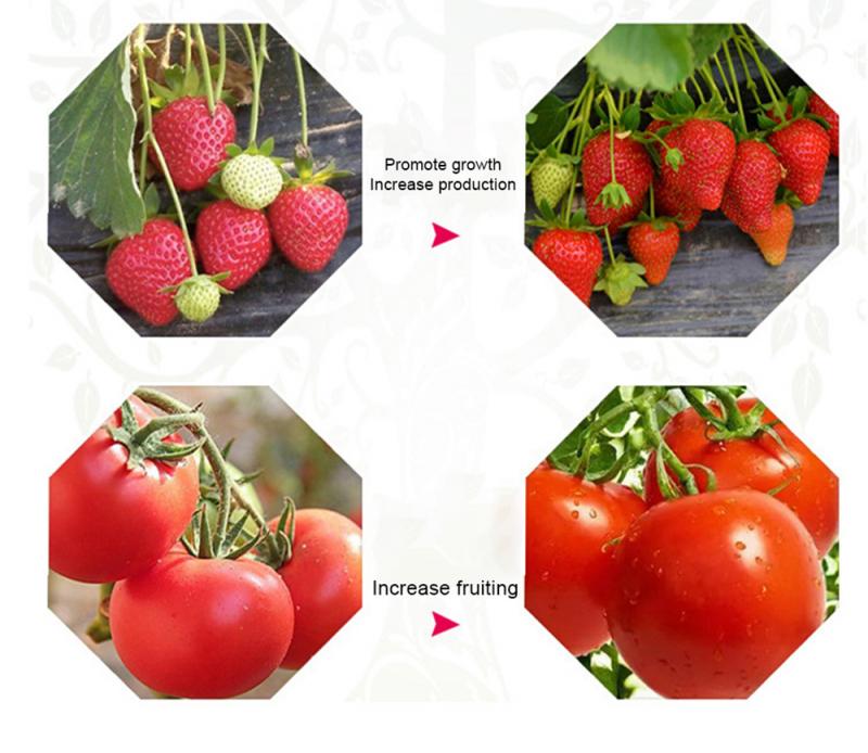 50W COB LED Grow Light Full Spectrum Growth Lamp Cooling Fan Hydroponic Plant Light Bulbs That Promote Photosynthesis In Plants