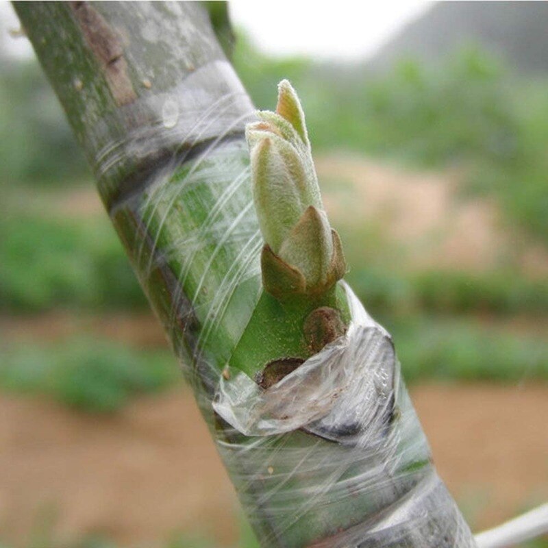 Cinta de injerto autoadhesiva estirable película para injertos herramienta especial de injerto de árboles frutales cinta de unión de jardín 3CMX100M 2 uds