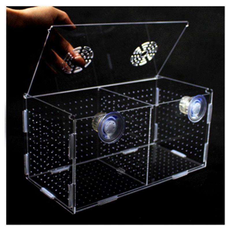Caja de aislamiento para acuario, recipiente acrílico para incubar peces, 1 unidad