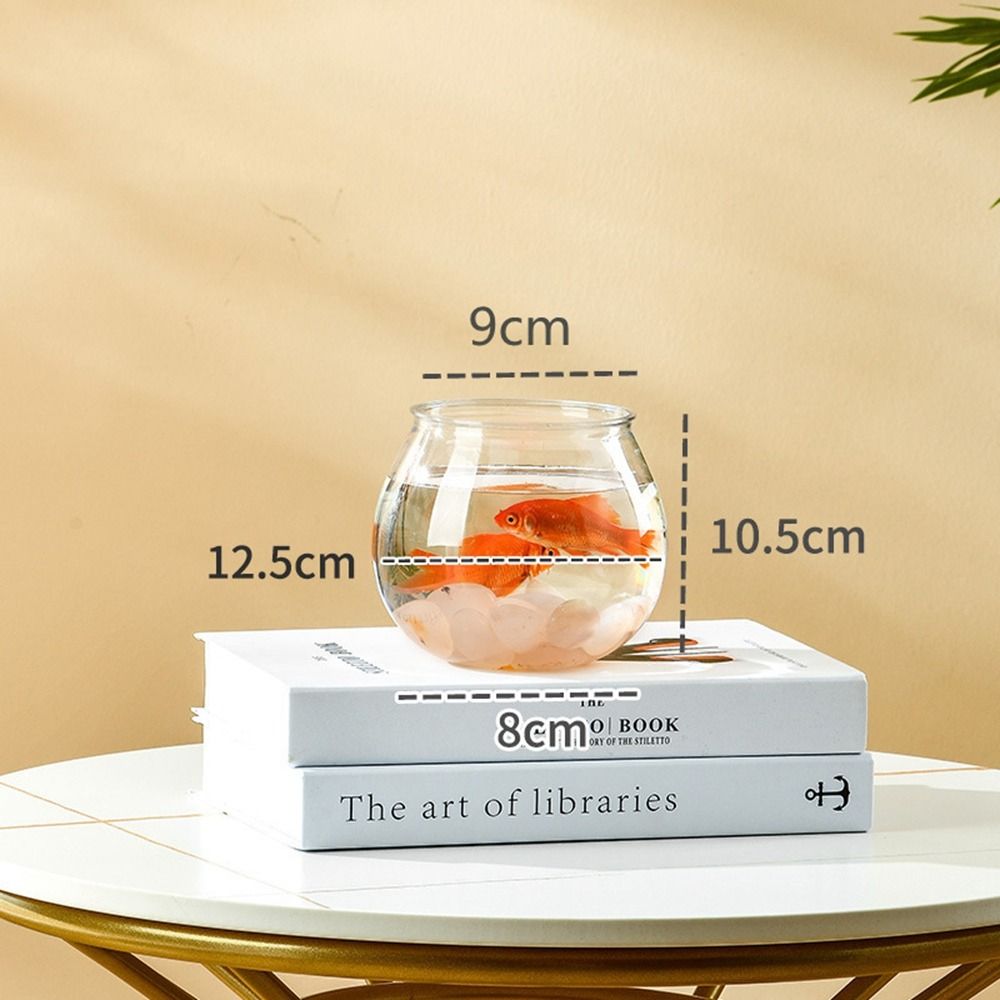 Fish Bowl Small Aquariums For Small Ornamental Fish And Reptiles High Transparency Glass Good View: WHITE