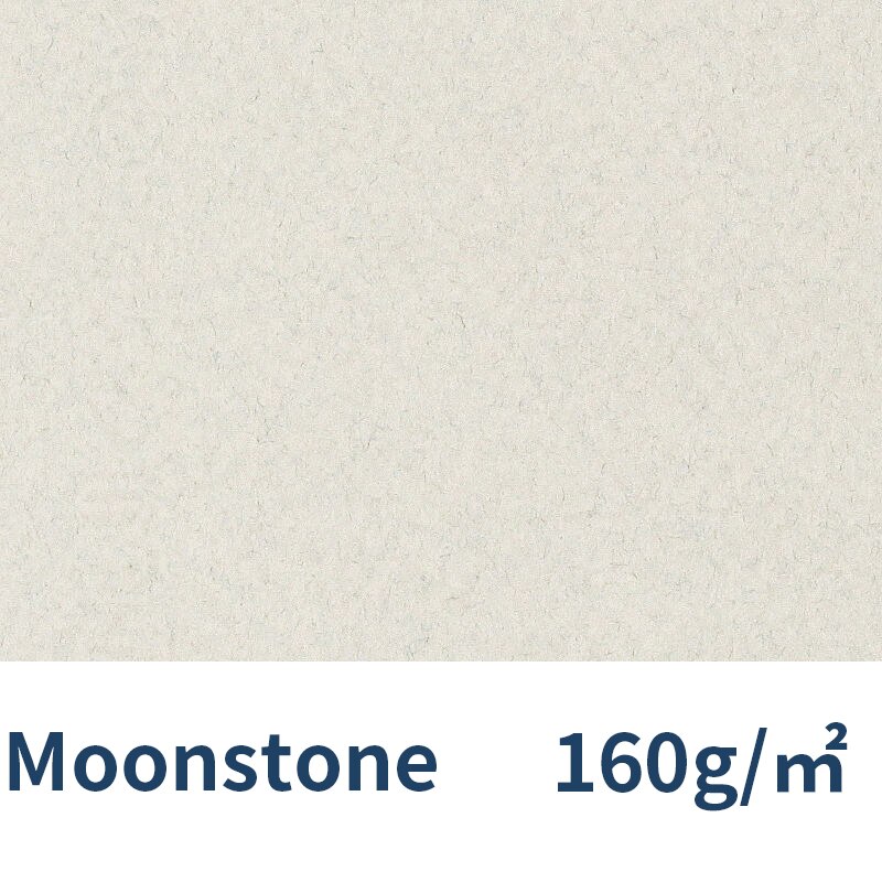 France Canson Soft Pastel Paper 4K Mi-Teintes 12Pcs Oil Pastels Painting Paper Chalk Crayon Sketch Color Pencils: 426