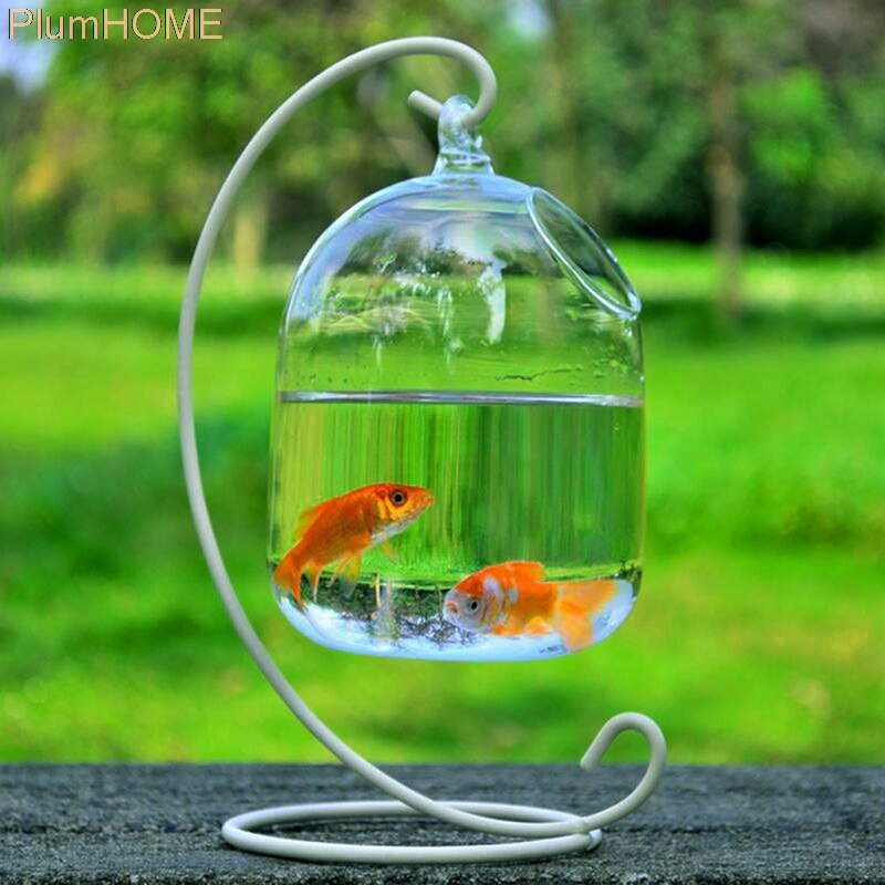 Aquarium rond suspendu en verre, nouvelle forme ronde, bocal à poisson, Vase à fleurs, Transparent sphérique, fait à la main: BL