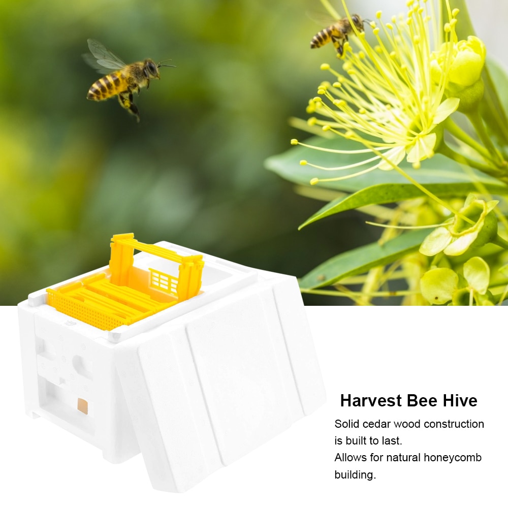 Harvest Bee Hive Box Beekeeping King Pollination Box Beekeeping Tool For Garden Pollination Box King Reserve Beekeeping Tool