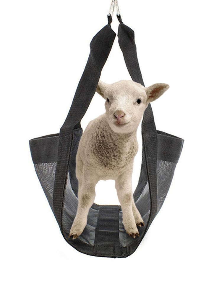 Eslinga ajustable de nailon grueso para aves de corral, eslinga de pequeña escala para granja, pesaje fijo para animales de granja