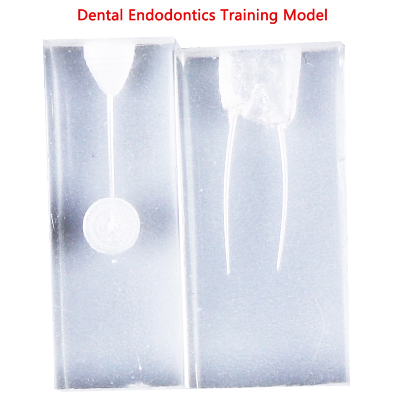 Dental endo træningsblok endodonti studerende undervisning model tandpleje 2 stilarter praksis model