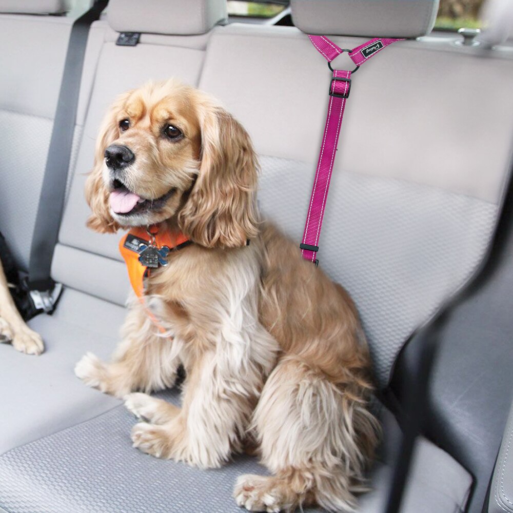 Hundesele bælte reflekterende nylon hunde katte sikkerhedssele rem bil nakkestøtte sikkerhed sikkerhed fører køretøj sikkerhedssele
