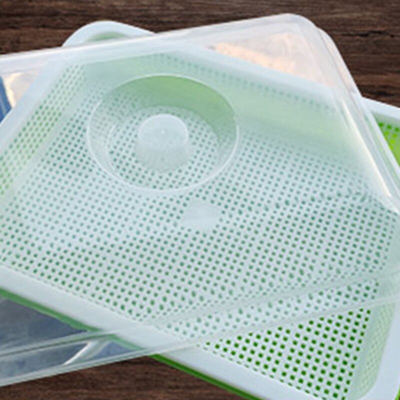 Seed Sprouter Tray with Lid BPA Free Bean Sprout Grower Sprouting Seeds Tray, Dirt Free Way and Big Capacity