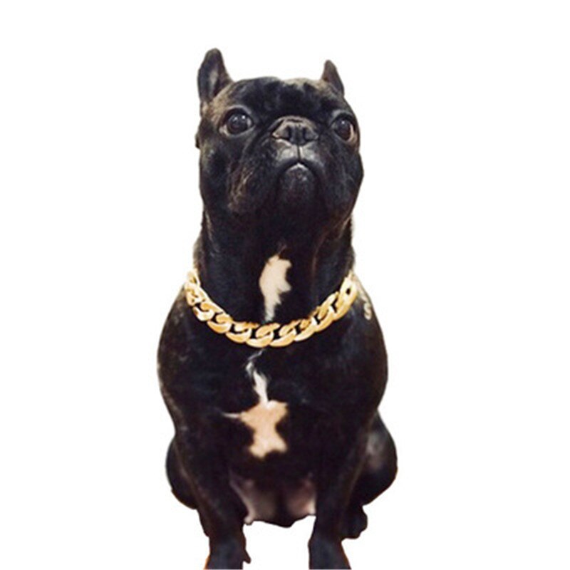 36 + 7cm Edelstahl Haustier Hund Gold Kette Kubanischen Verknüpfung Dicken Goldenen Kette Hund Katze Haustiere Sicherheit kragen Haustier Hunde Zubehör