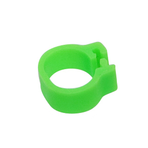Innen Durchmesser 10mm Kleine Vogel Kunststoff Clip Ring Taube Farbe Fuß Ring 10 Farbe Taube Wachtel Baby Vogel Liefert 100 stück: Green
