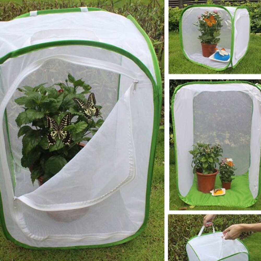 Portable Insect Cage Foldable Butterfly Habitat Cage Housing Enclosure Mesh Cloth Iron Insect Supplies Pet Product