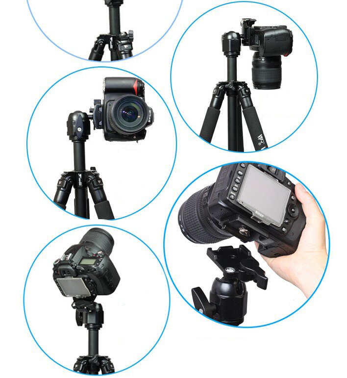 WEIFENG WF-6662A Fancier FT-6662A Tripod with Ball head Camera Photo DV telescope Tripod