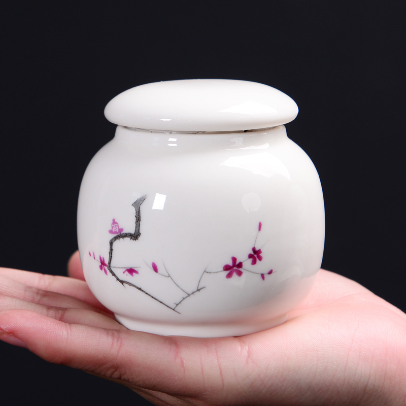Caja de almacenamiento portátil, recipiente de té sellado de cerámica para viaje, Mini tetera de Kung Fu, de porcelana, tarro de cerámica