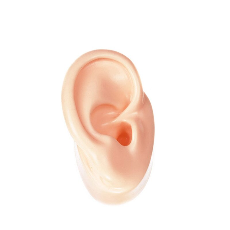 Silicone Ear Model Human Artificial Ear Display for Hearing Aids IEM Earphones Display and Lecturing: Beige Right side