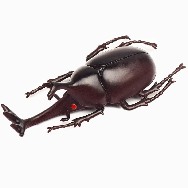 Escarabajo de juguete de simulación de 6 estilos, 13cm, modelo realista, juguete de simulación de insecto, ayuda en Enseñanza de guardería, colección de juguetes para niños, vestido