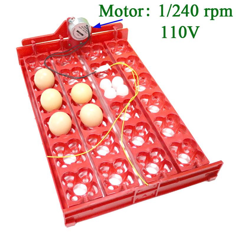 Incubadora para aves 96 huevos, bandeja automática de 24 huevos, herramienta de incubación de codornices de loros, tamaño 43*28 cm: 1I240 rpm 110V motor