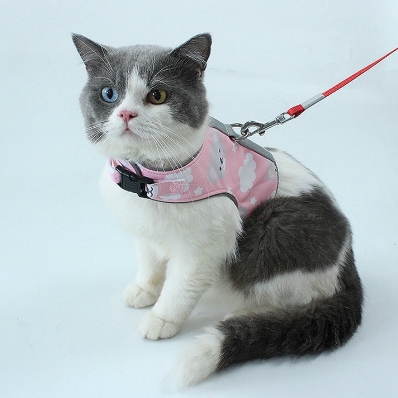 Katze nutzbar machen Katze Leine einstellen Polyester Reflektierende Karikatur aufbringen Haustier nutzbar machen Einstellbar Büste Klett Sicherheit Schnalle