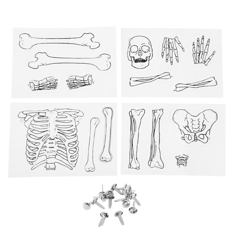 Juguete puzle para niños DIY modelo de esqueleto humano niños aprendizaje agarrando en desarrollo puzle juguete infantil DIY juguetes Juguetes