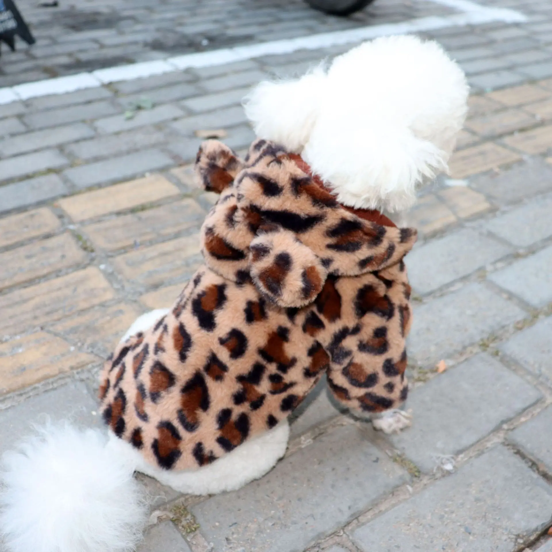 Dog Winter Jacket - Fleece Teddy Coat - Thick Pet Clothes for Small Dogs
