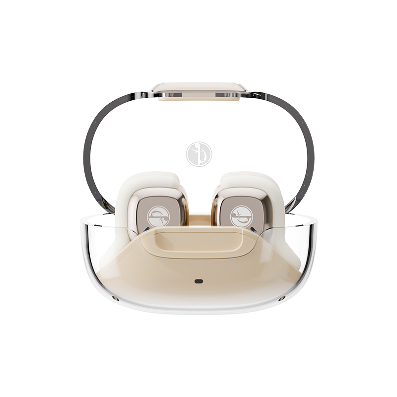 Zhulinniao Bixiao T20 Bluetooth Headset Air Bone Conduction Ear Clip Wireless Open Style Not In-ear: WHITE