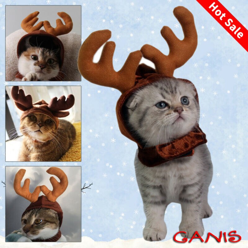 Hunde Katze Rentier Stirnband Deckel Haustier Elch Geweih Nette Hüte Welpen Hirsch Hörner Kappen Kopfschmuck Katze Weihnachten Kostüm Haar Dekor