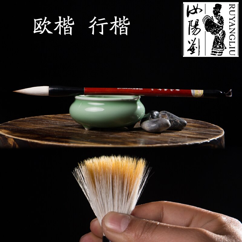 Kinesisk ruyang liu maobi kalligrafikunst for voksne begyndere
