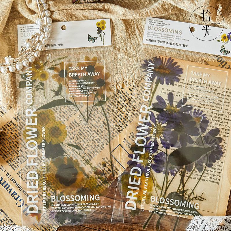 Jianwu 6 ark blomst stor klistermærke pakke plante journal klistermærke dekorative klistermærker note collage papir papirvarer