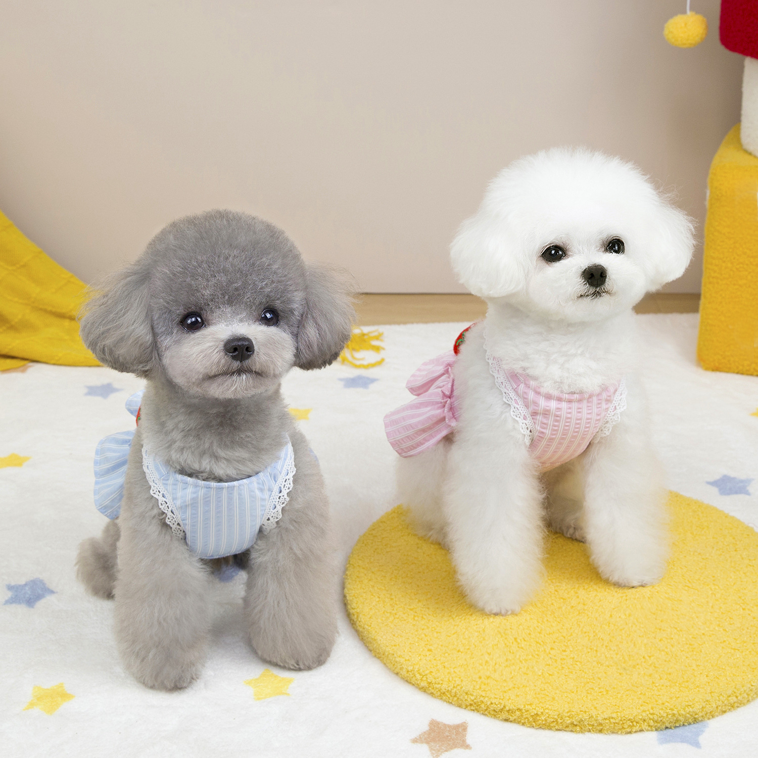 Stripete stroppekjole for kjæledyr vår/sommer katteklær jordbær hundeklær for små hunder valpesele hundekjole