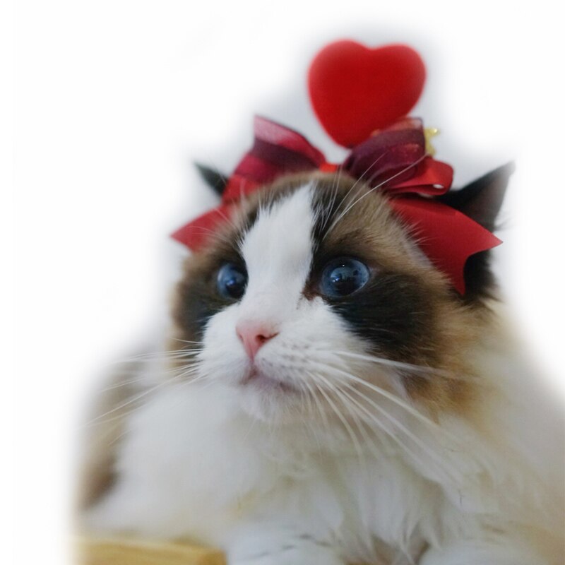 Tocado de gato Manual para el Día de San Valentín, conjunto de cabeza de perro, accesorios para el cabello de mascotas, horquilla, accesorios para gatos, suministros para mascotas