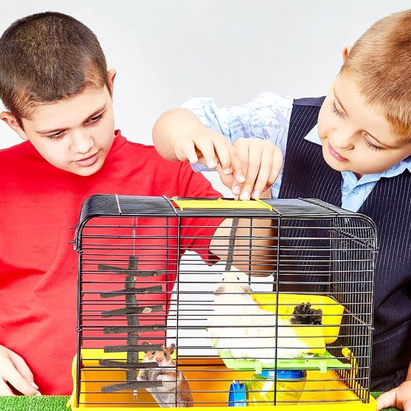 Hamac balançoire en bois, jouets à mâcher en forme de lapin, tubes à brindilles, blocs Wooen pour petits animaux de compagnie, soins dentaires, 12 pièces