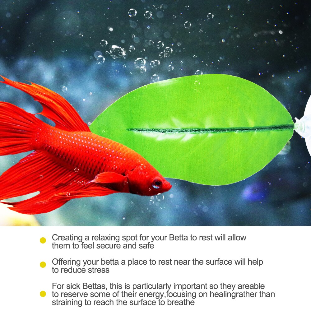 Aquariumdecoratie, aquariumdecoratie, betta visblad, aquariumlandschap, plastic zuignap, betta hangmat