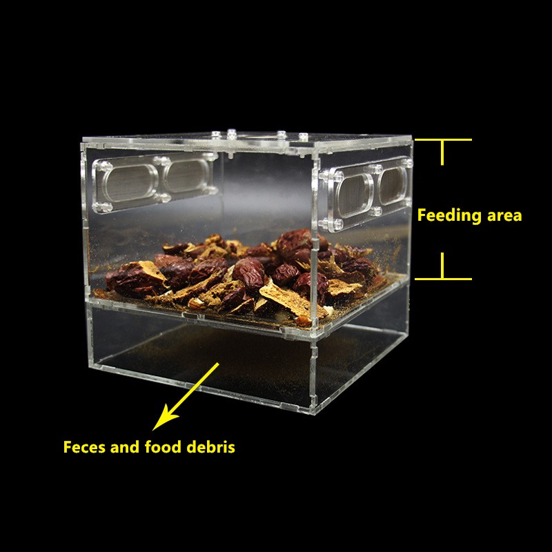 Kowloon Worm Insect Breeding Box Clear Acrylic Breeding Larva Or Fecal Separator