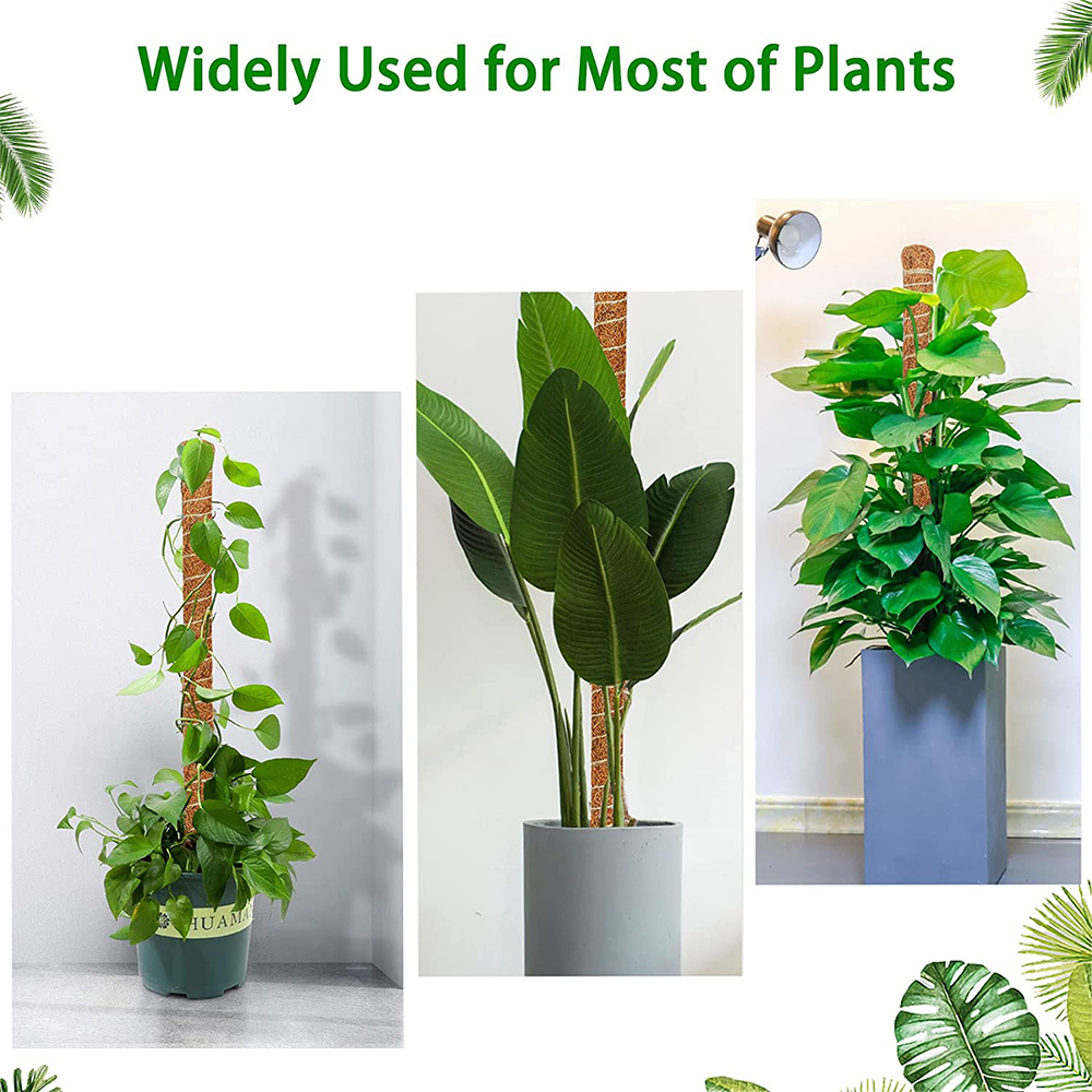 Postes de plantas flexibles DIY para plantas, palos Monstera, soporte para entrenar en interiores, para crecer hacia arriba, estacas hechas a mano para escalar