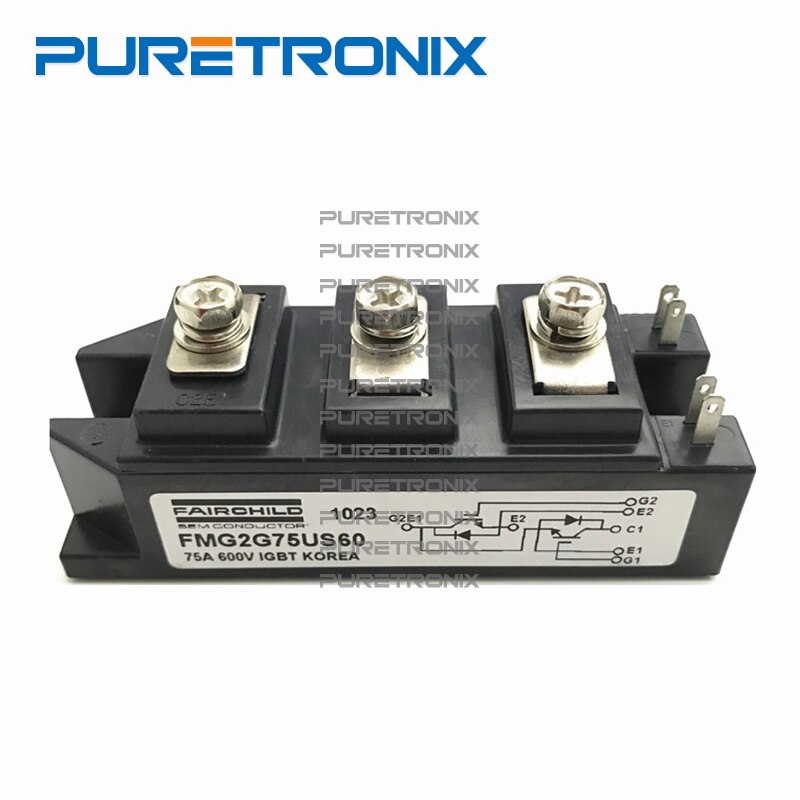 FMG2G75US60 FMG2G100US60 Molding Type Module