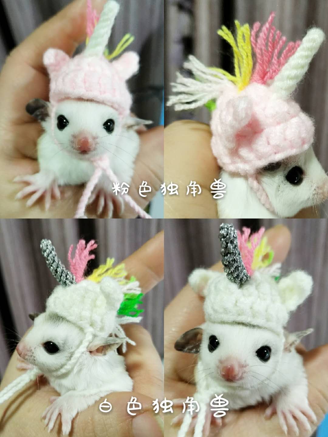 Shrew-sombrero para hámster tejido a mano, mini disfraz de animal bonito, sombrero de dibujos animados, ropa para mascotas